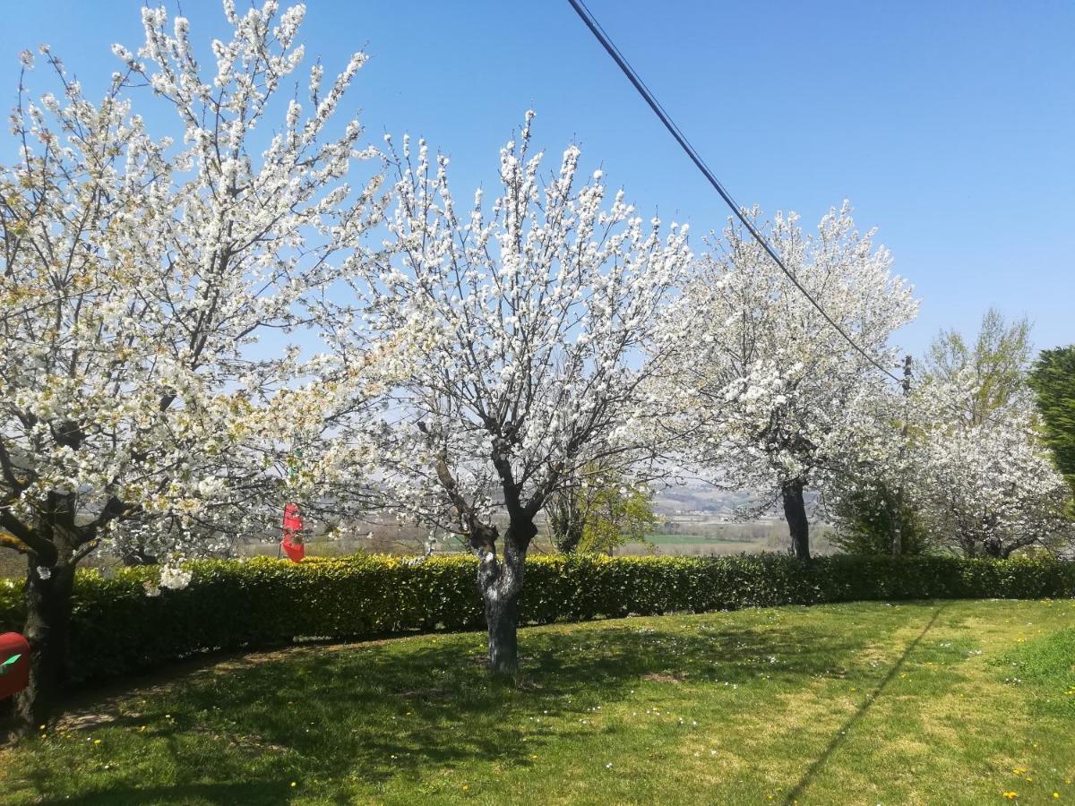 Locazione Turistica Cascina Pela Apartment Castagnole delle Lanze Exterior foto